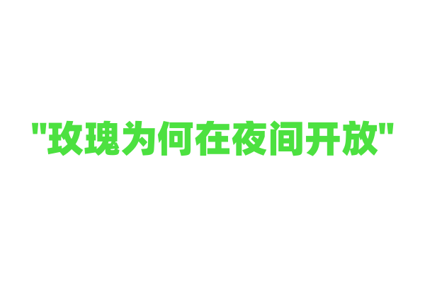 "玫瑰为何在夜间开放"
